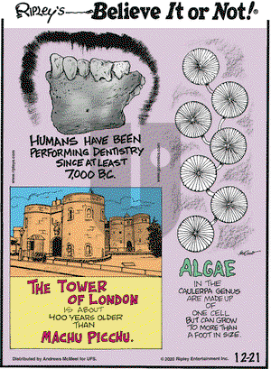 Ripley's Believe It or Not on Monday December 21, 2020 Comic Strip