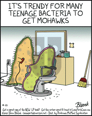 Loose Parts on Friday August 15, 2025 Comic Strip