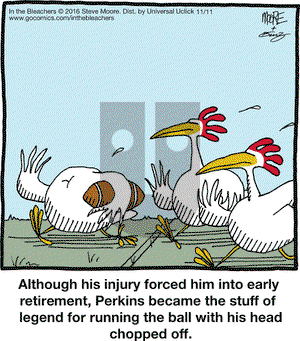 In the Bleachers on Friday November 11, 2016 Comic Strip