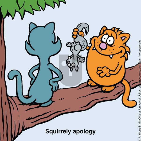 Learn to Speak Cat on Sunday April 27, 2025 Comic Strip