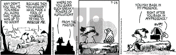 Over the Hedge on Saturday July 23, 2005 Comic Strip