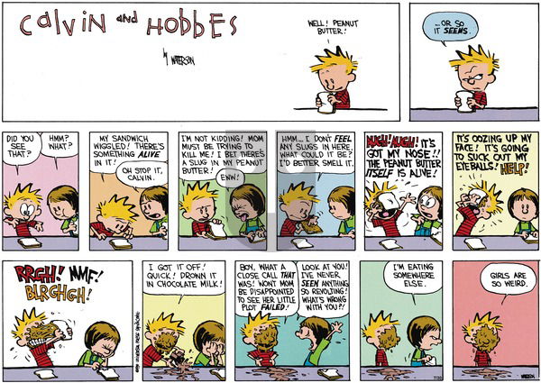Calvin and Hobbes - Sunday September 16, 1990 Comic Strip