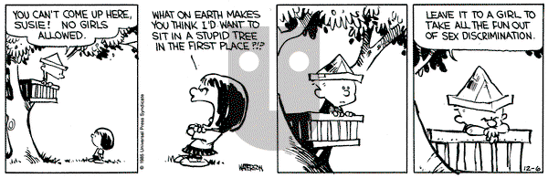 Calvin and Hobbes on Friday December 6, 1985 Comic Strip
