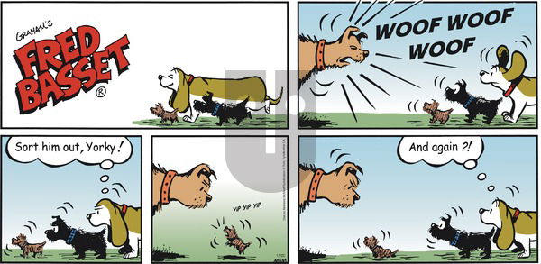 Fred Basset on Sunday November 25, 2018 Comic Strip