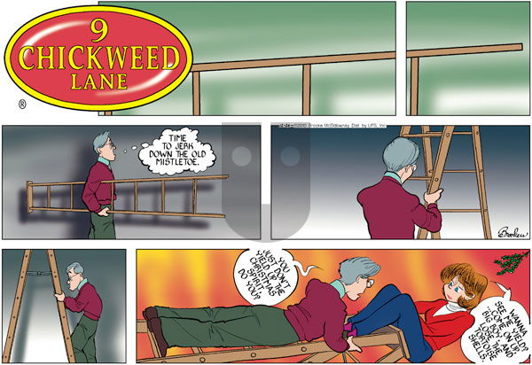 9 Chickweed Lane on Sunday December 26, 2010 Comic Strip