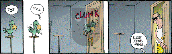 Monty on Saturday December 1, 2018 Comic Strip
