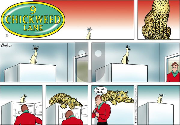 9 Chickweed Lane on Sunday January 5, 2014 Comic Strip