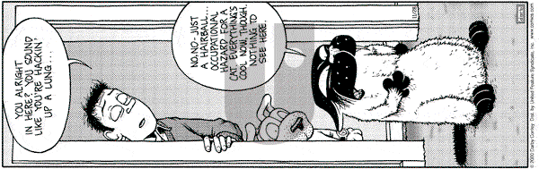Get Fuzzy on Tuesday November 28, 2000 Comic Strip