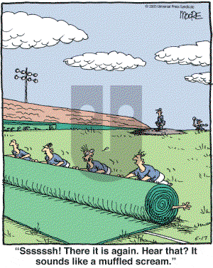 In the Bleachers - Tuesday May 17, 2005 Comic Strip