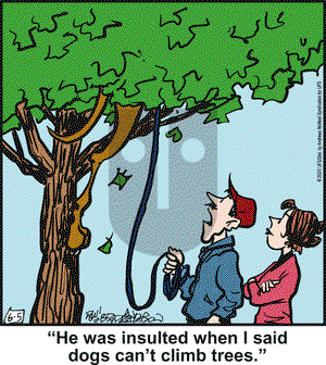 Marmaduke on Thursday June 5, 2025 Comic Strip