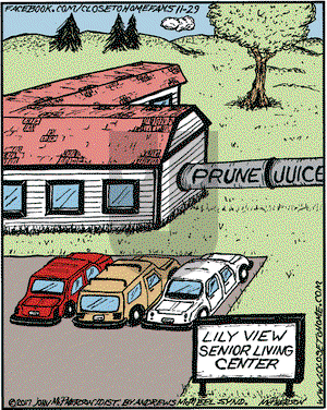 Close to Home on Wednesday November 29, 2017 Comic Strip