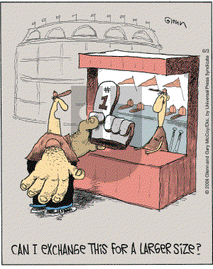 The Flying McCoys on Saturday June 3, 2006 Comic Strip