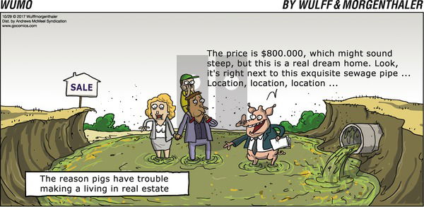 WuMo on Sunday October 29, 2017 Comic Strip