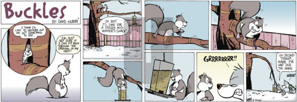 Buckles on Sunday December 7, 2025 Comic Strip