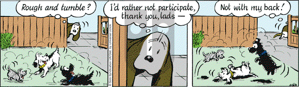 Fred Basset on Friday July 1, 2016 Comic Strip