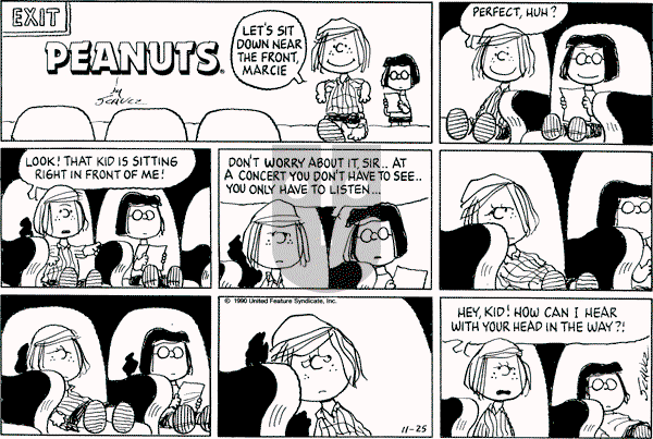 Peanuts - Sunday November 25, 1990 Comic Strip