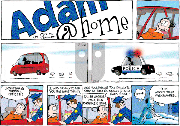 Adam@Home - Sunday November 30, 2008 Comic Strip