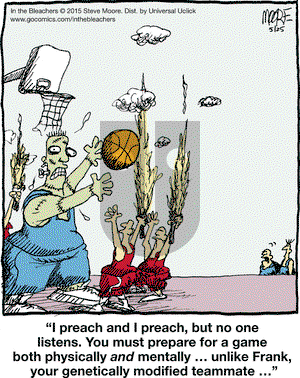 In the Bleachers on Monday May 25, 2015 Comic Strip