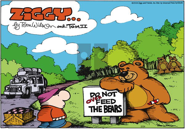 Ziggy on Sunday February 24, 2008 Comic Strip