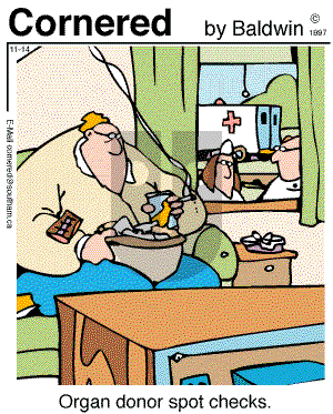 Cornered on Friday November 14, 1997 Comic Strip