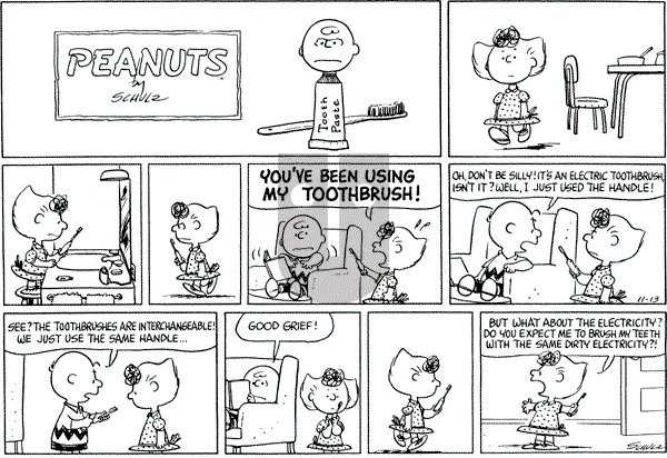 Peanuts - Sunday November 13, 1966 Comic Strip