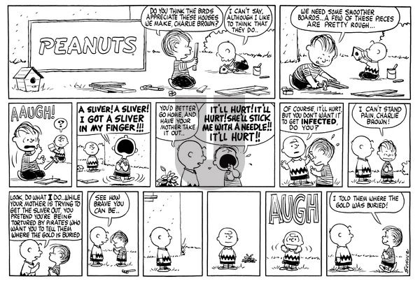 Peanuts on Sunday June 26, 1960 Comic Strip