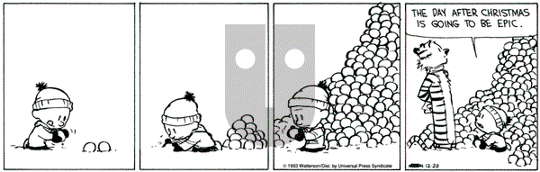 Calvin and Hobbes on Monday December 20, 1993 Comic Strip