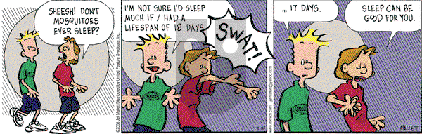 Frazz on Monday July 14, 2008 Comic Strip