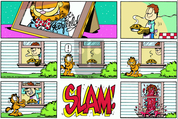 Garfield on Sunday July 31, 1994 Comic Strip