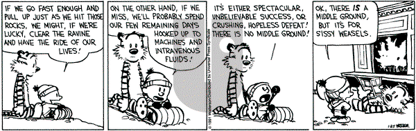 Calvin and Hobbes on Friday January 25, 1991 Comic Strip