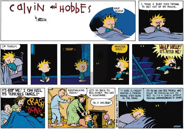 Calvin and Hobbes on Sunday March 17, 1991 Comic Strip