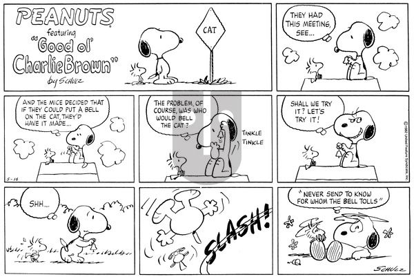 Peanuts on Sunday May 16, 1982 Comic Strip