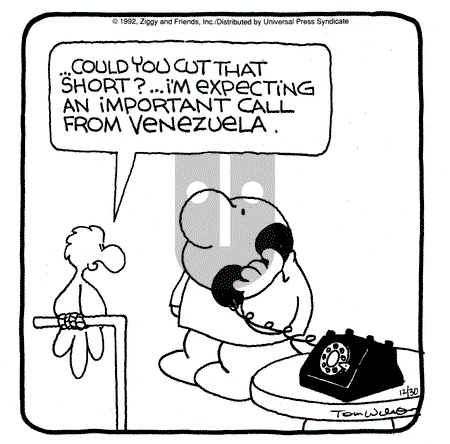 Ziggy - Wednesday December 30, 1992 Comic Strip