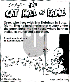 Kit 'N' Carlyle on Saturday August 26, 2000 Comic Strip