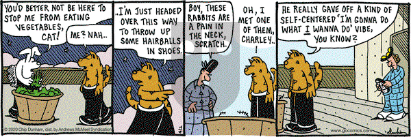 Overboard on Thursday April 2, 2020 Comic Strip