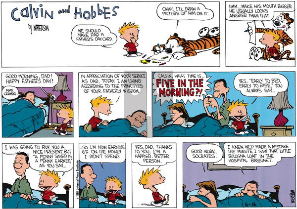 Calvin and Hobbes on Sunday June 15, 1986 Comic Strip