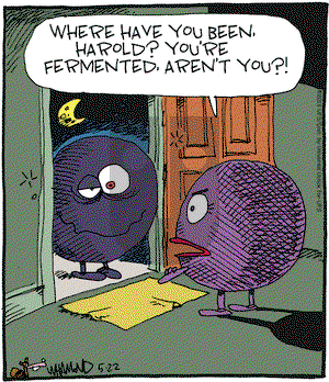 Reality Check on Wednesday May 22, 2013 Comic Strip