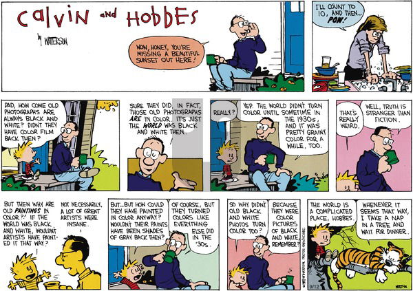 Calvin and Hobbes on Sunday November 9, 2014 Comic Strip