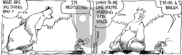 The Grizzwells on Tuesday April 22, 2008 Comic Strip