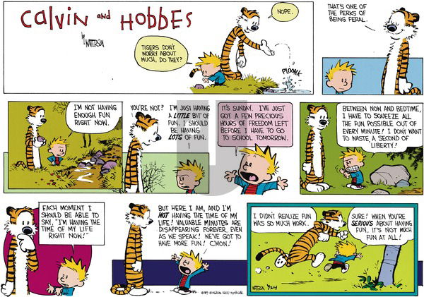 Calvin and Hobbes on Sunday March 12, 1989 Comic Strip