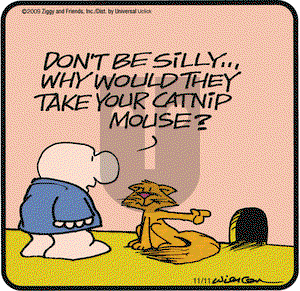 Ziggy on Wednesday November 11, 2009 Comic Strip