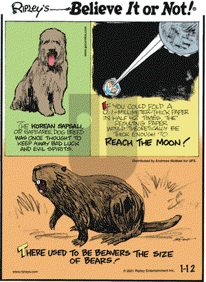 Ripley's Believe It or Not on Tuesday January 12, 2021 Comic Strip