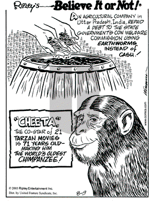 Ripley's Believe It or Not on Saturday August 9, 2003 Comic Strip