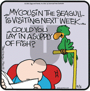 Ziggy on Tuesday May 3, 2005 Comic Strip