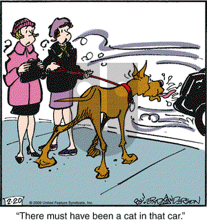 Marmaduke on Friday February 20, 2009 Comic Strip