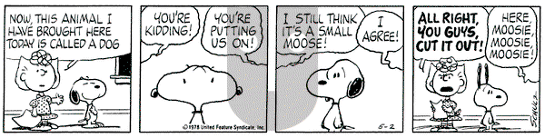 Peanuts on Tuesday May 2, 1978 Comic Strip