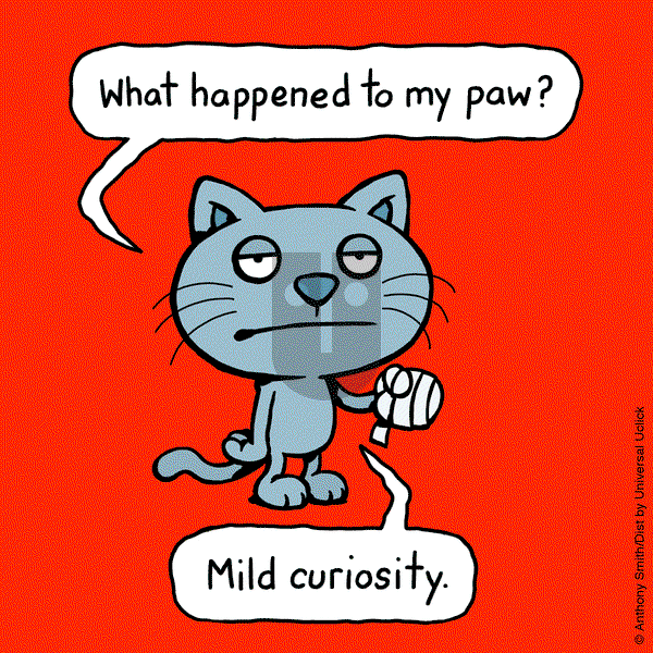 Cattitude — Doggonit on Thursday April 24, 2025 Comic Strip