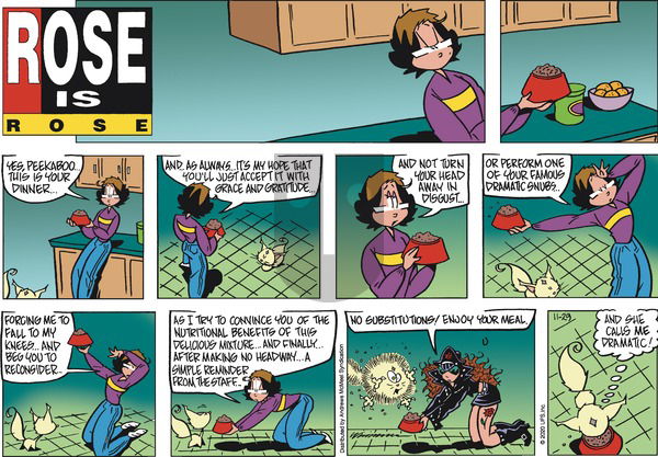 Rose is Rose on Sunday November 29, 2020 Comic Strip