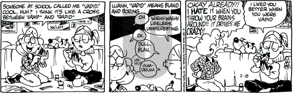 Luann on Monday February 18, 1991 Comic Strip