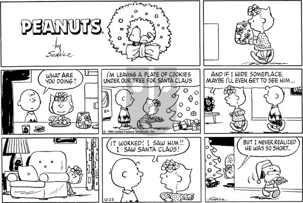 Peanuts - Sunday December 23, 1990 Comic Strip